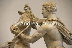 Museo Archeologico Nazionale Collezione Farnese - Toro Farnese - Punizione di Dirce - Particolare | Andrea Jemolo