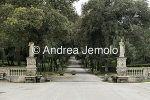 Villa Borghese Giardini | Andrea Jemolo
