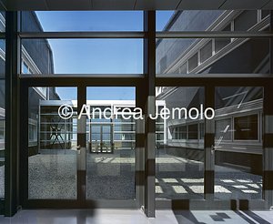 Dipartimento di Biologia molecolare - Università di Camerino  | Andrea Jemolo