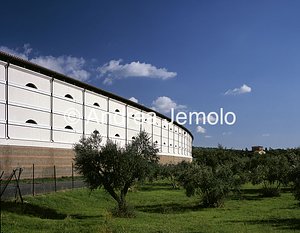 Cimitero di Ciampino  | Andrea Jemolo