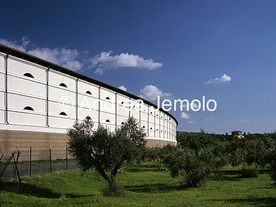 Cemetery of Ciampino  | Andrea Jemolo