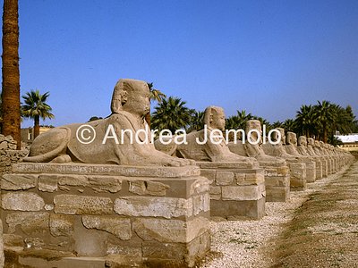 Temple Avenue of the Sphinxes | Andrea Jemolo