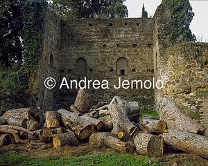 Mura Aureliane Le mura dentro Villa Medici | Andrea Jemolo