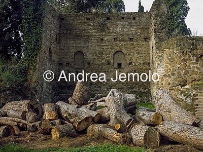Mura Aureliane Le mura dentro Villa Medici | Andrea Jemolo