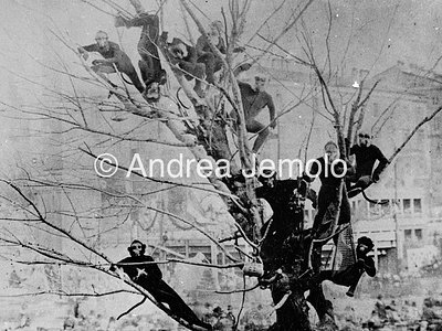  Mascherata di carnevale in Piazza del Popolo | Andrea Jemolo