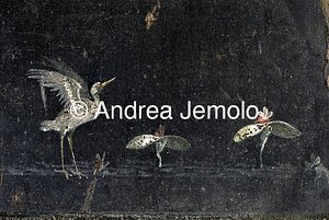 Villa dei Misteri Tablino con decorazione dipinta | Andrea Jemolo