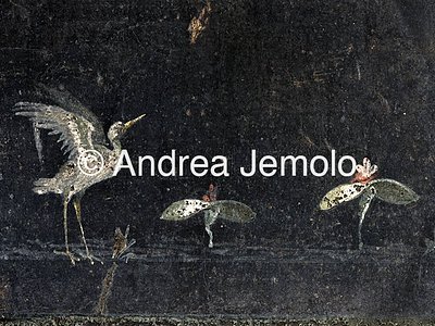 Villa dei Misteri Tablino con decorazione dipinta | Andrea Jemolo