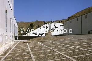 La Montagna di sale e i Cavalli  | Andrea Jemolo