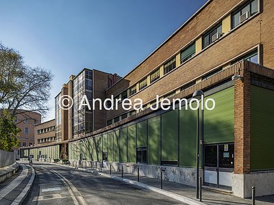 University La Sapienza Institutes of Botany and Pharmaceutical Chemistry | Andrea Jemolo