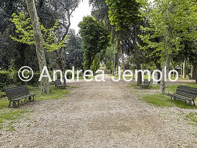 Villa Borghese Viale degli ippocastani | Andrea Jemolo
