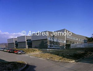 Dipartimento di Biologia molecolare - Università di Camerino  | Andrea Jemolo