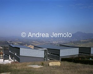 Dipartimento di Biologia molecolare - Università di Camerino  | Andrea Jemolo