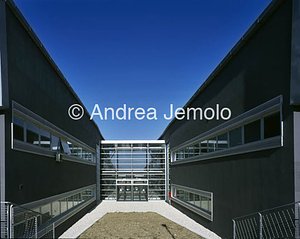 Dipartimento di Biologia molecolare - Università di Camerino  | Andrea Jemolo