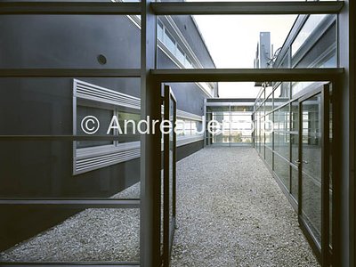 Dipartimento di Biologia molecolare - Università di Camerino  | Andrea Jemolo