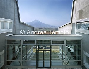 Dipartimento di Biologia molecolare - Università di Camerino  | Andrea Jemolo