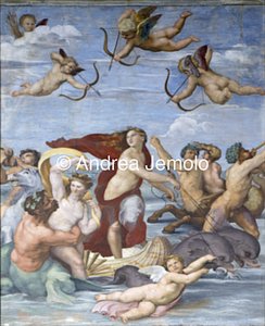 Villa Farnesina Galatea | Andrea Jemolo