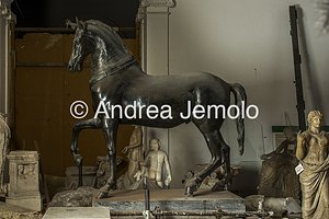 Museo Archeologico Nazionale Statua di cavallo cosiddetto Cavallo Mazzocchi bronzo, teatro, Ercolano | Andrea Jemolo