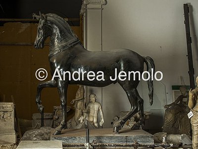 Museo Archeologico Nazionale Statua di cavallo cosiddetto Cavallo Mazzocchi bronzo, teatro, Ercolano | Andrea Jemolo