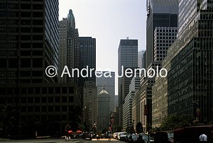 Park Avenue  | Andrea Jemolo