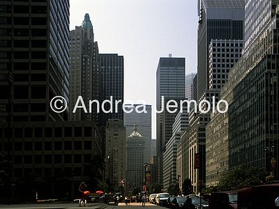 Park Avenue  | Andrea Jemolo
