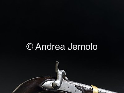 Palazzo Carignano - Museum of the Risorgimento Muzzle-loading gun of the Royal carabinieri on foot | Andrea Jemolo