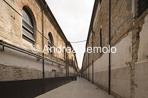Arsenale  | Andrea Jemolo