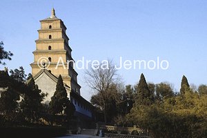 Pagoda dell'Oca Selvaggia  | Andrea Jemolo
