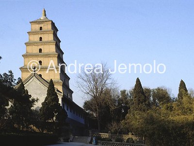 Pagoda dell'Oca Selvaggia  | Andrea Jemolo
