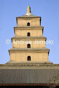 Pagoda dell'Oca Selvaggia  | Andrea Jemolo
