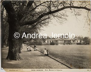  Museo accademico delle belle arti a Bonn | Andrea Jemolo