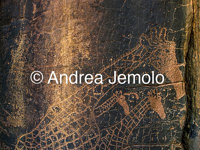 Algeria | Andrea Jemolo