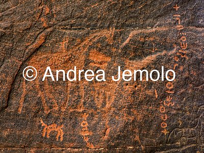  Giraffe with puppy - Rock art | Andrea Jemolo