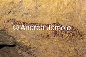  Dipinto rupestre di una giraffa addormentata, Tassili n’Ajjer, Tadart Rouge | Andrea Jemolo