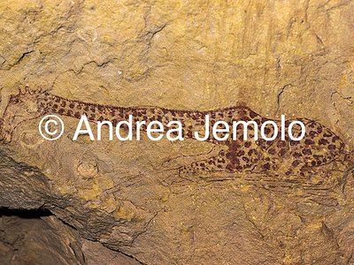  Cave painting of a sleeping giraffe, Tassili n’Ajjer, Tadart Rouge | Andrea Jemolo