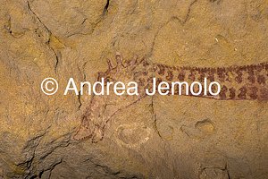  Dipinto rupestre di una giraffa addormentata, Tassili n’Ajjer, Tadart Rouge | Andrea Jemolo