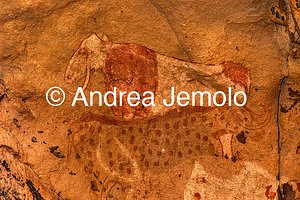  Dipinto rupestre raffigurante alcune mucche, Tassili n’Ajjer, Tadart Rouge | Andrea Jemolo