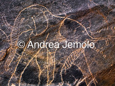  Rock engraving depicting an elephant while defecating | Andrea Jemolo