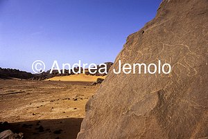  Incisione rupestre raffigurante un elefante - Tassili n'Ajjer, Tadart Rouge | Andrea Jemolo