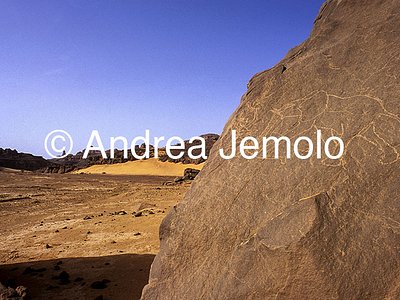  Rock engraving depicting an elephant - Tassili n'Ajjer, Tadart Rouge | Andrea Jemolo