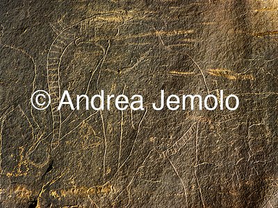  Rock engraving depicting an elephant - Tassili n'Ajjer, Tadart Rouge | Andrea Jemolo