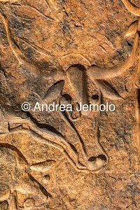  Incisione rupestre raffigurante “La mucca che piange” per l'avanzare della desertificazione - Tassili n'Ajjer, Tadart Rouge | Andrea Jemolo