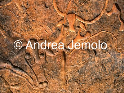  Rock engraving depicting a herd of moving elephants and under a group of men - Tassili n'Ajjer, Tadart Rouge | Andrea Jemolo