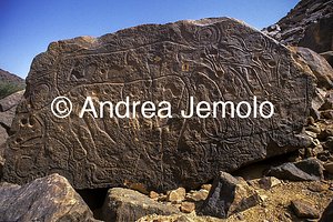  Incisione rupestre raffigurante delle mucche al pascolo - Tassili n'Ajjer, Tadart Rouge | Andrea Jemolo