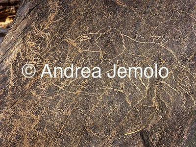  Rock engraving depicting an elephant - Tassili n'Ajjer, Tadart Rouge | Andrea Jemolo