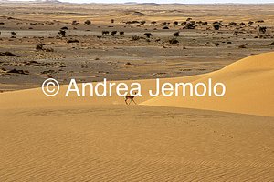   Tassili n’Ajjer, Tadrart Acacus | Andrea Jemolo