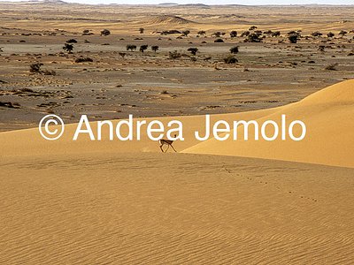   Tassili n’Ajjer, Tadrart Acacus | Andrea Jemolo