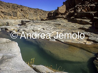  A guelta in Iherir | Andrea Jemolo