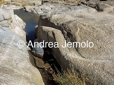  A guelta in Iherir | Andrea Jemolo