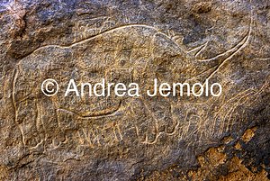  Incisione rupestre raffigurante un rinoceronte - Tassili n'Ajjer, Tadart Rouge | Andrea Jemolo
