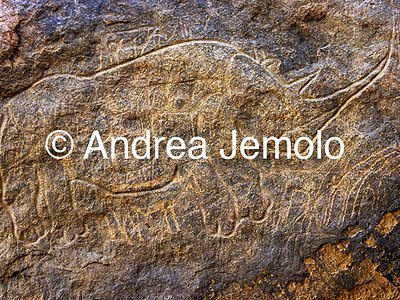  Rock engraving depicting an rhinoceros - Tassili n'Ajjer, Tadart Rouge | Andrea Jemolo